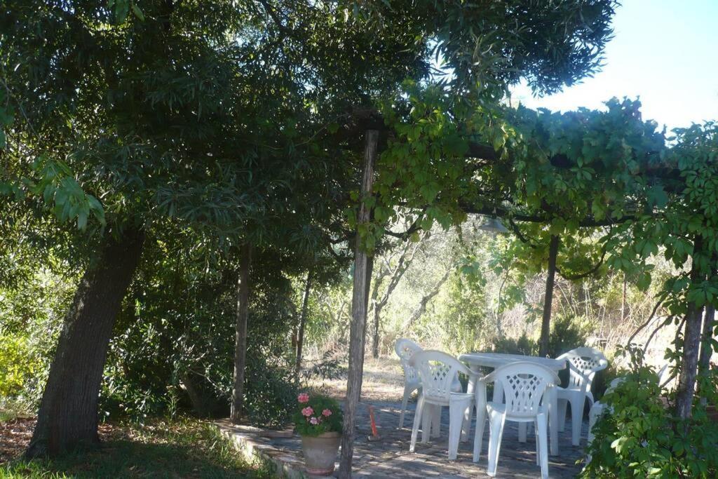Casa Rural La Vega Cazalla de la Sierra Exterior foto